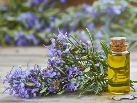 Rosemary Essential Oil: A Natural Elixir for Health and Beauty